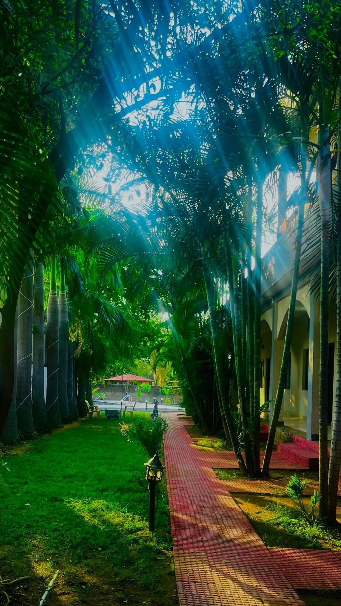 Hotel Jungle Palace Resort Umaria  Bagian luar foto